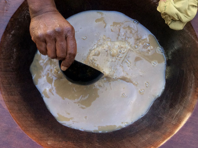 The Future of Kava: Emerging Trends and Technologies in Kava Production and Processing