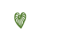 Kava Depot logo