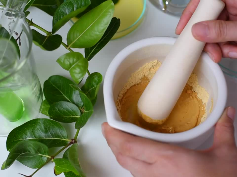 Kava powder being crushed in a mortar and pestle for extract