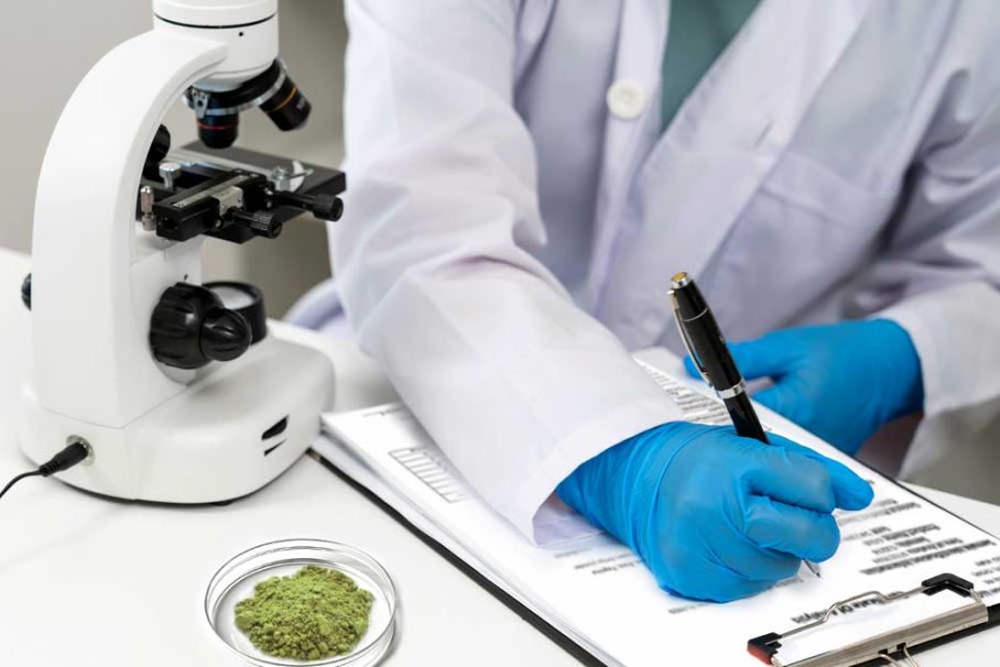 Chemist testing kava